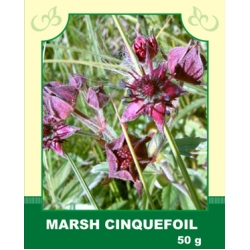 Marsh Cinquefoil